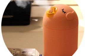 Bird humidifier