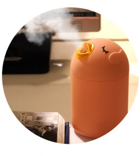 Bird humidifier