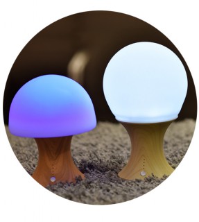 New 7 color Silica gel night light