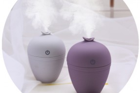 Wish bottle humidifier