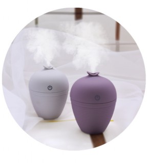 Wish bottle humidifier