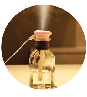 Sweet Love Humidifier