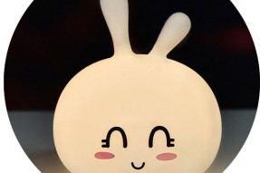 Cute Bunny Silicone  Light (rechargeable)