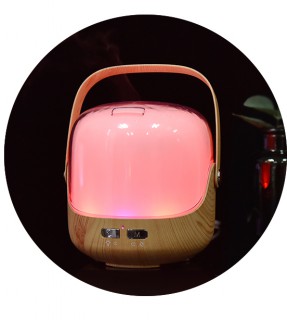 Portable ultrasonic aroma oil diffuser LJH-020