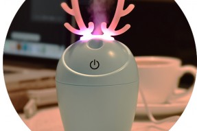 Lovely Aromatherapy Essential Oil Diffuser LJH-017