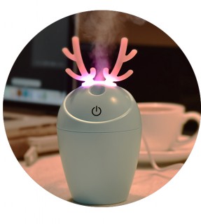 Lovely Aromatherapy Essential Oil Diffuser LJH-017