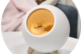 Bedside Round Dim Little Pet House Atmosphere Light