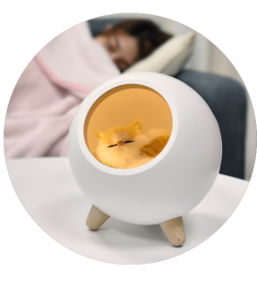 Bedside Round Dim Little Pet House Atmosphere Light