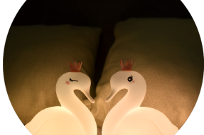 Bedroom BPA Free Swan Kids Silicon Night Lamp For Children