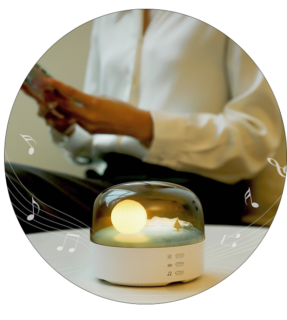 Moon Landscape Speaker