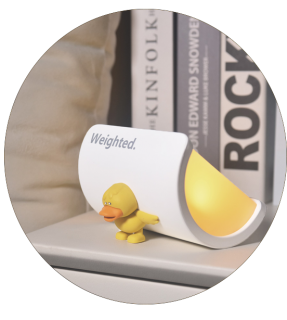 LJC-223 Weighted Duck Creative Lamp