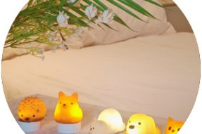 Mini Owl/Fox/Hedgehog/Cat/Dog  Lamp（Wrist Model）